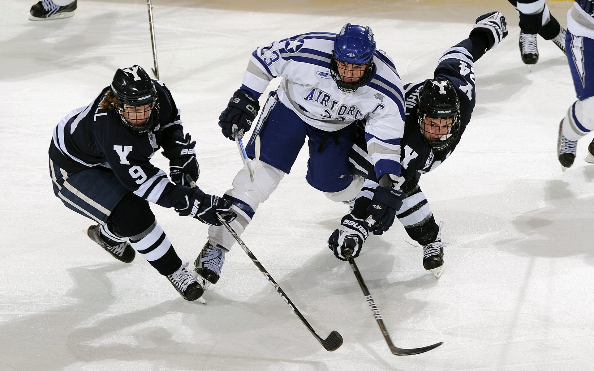 字母哥狂轰44+14统治攻防，雄鹿鏖战力克森林狼迎关键胜利